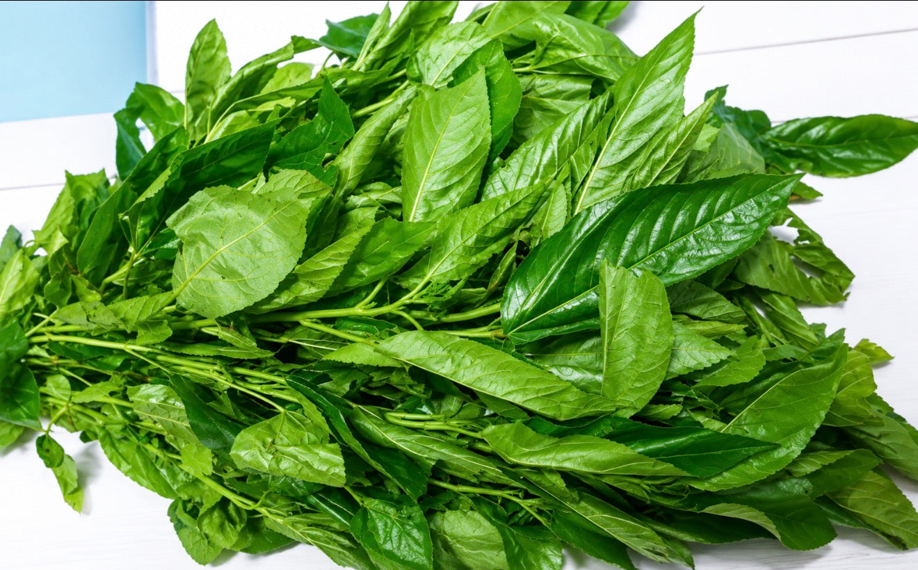 Fresh Ewedu