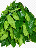 Fresh Ugu