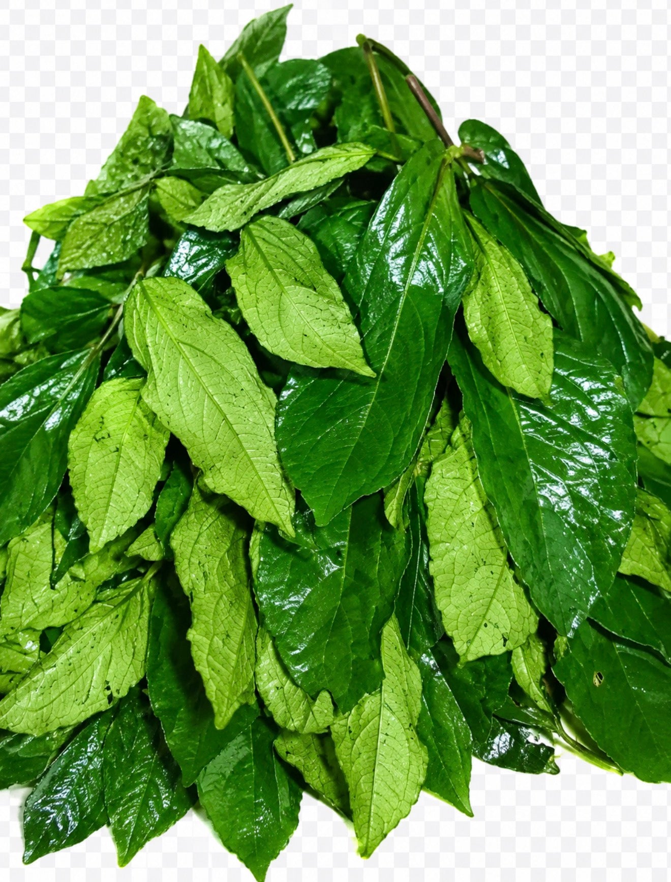 Fresh Ugu