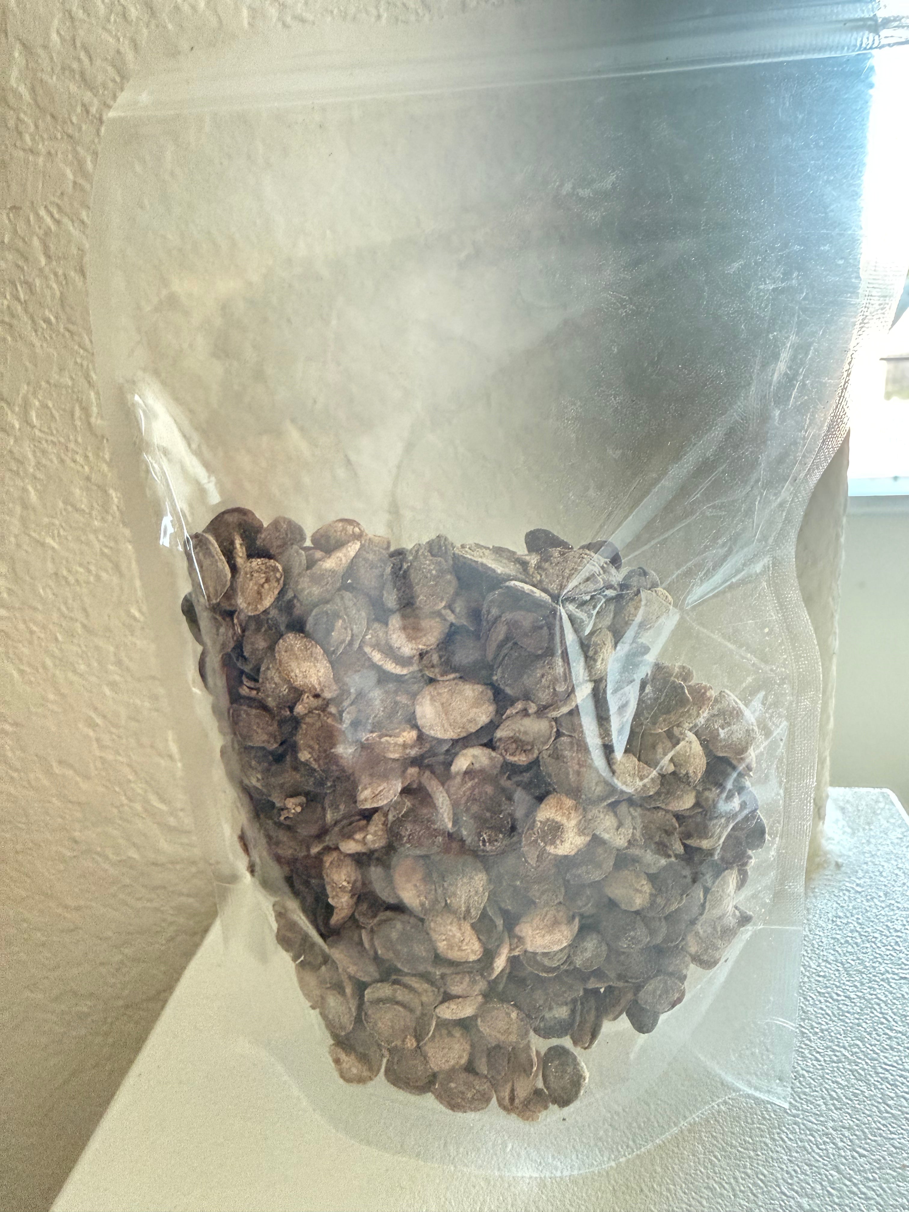 Dry iru (locus beans)